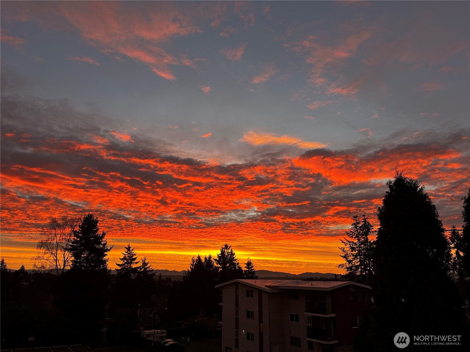 6519 35th Avenue NE Unit: 201