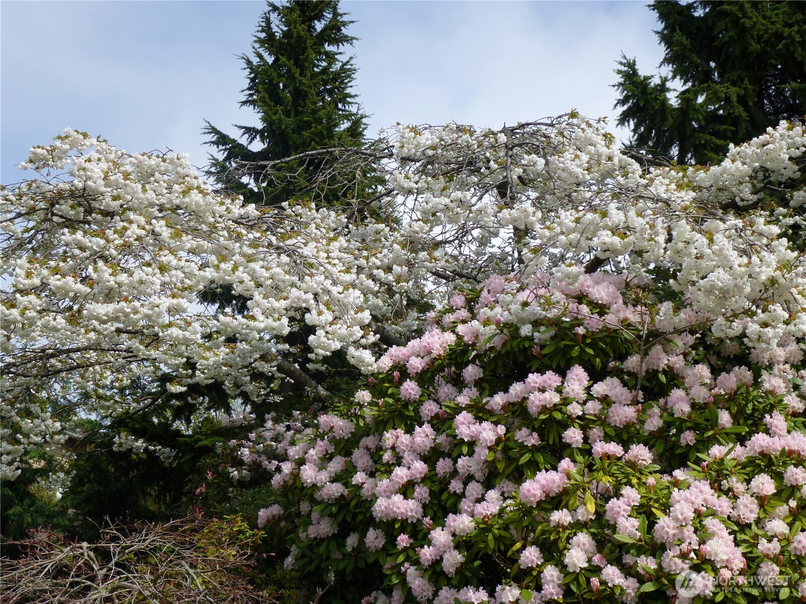 7407 180th Street SW