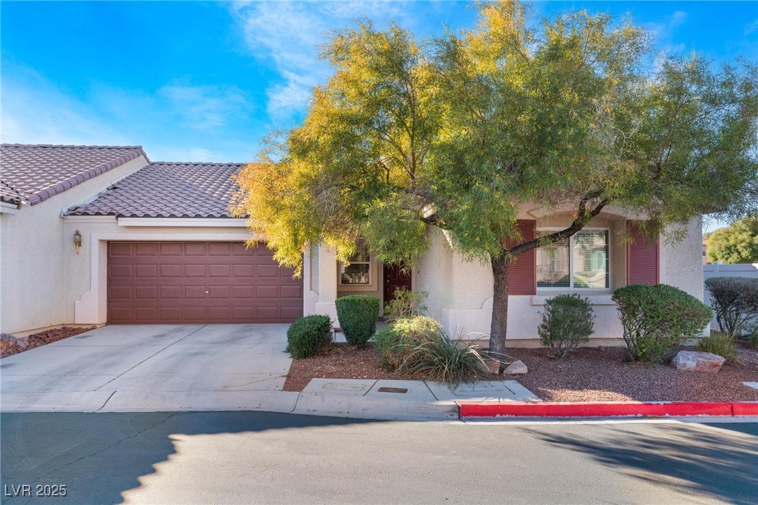 9261 Vervain Court