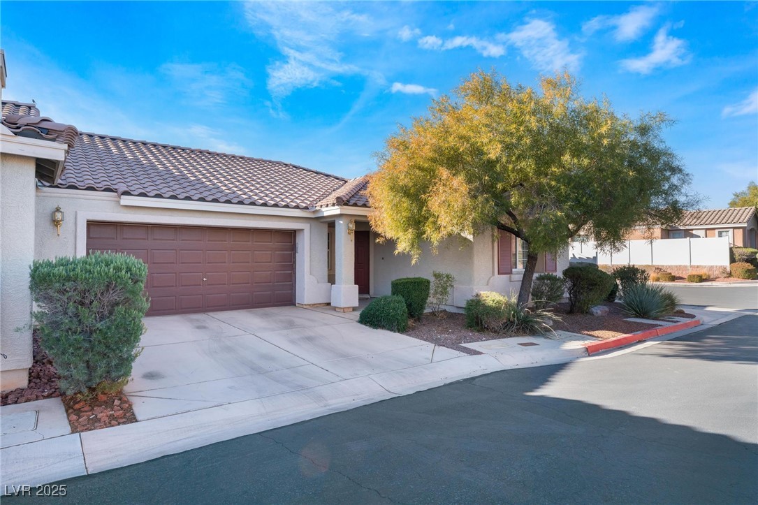 9261 Vervain Court
