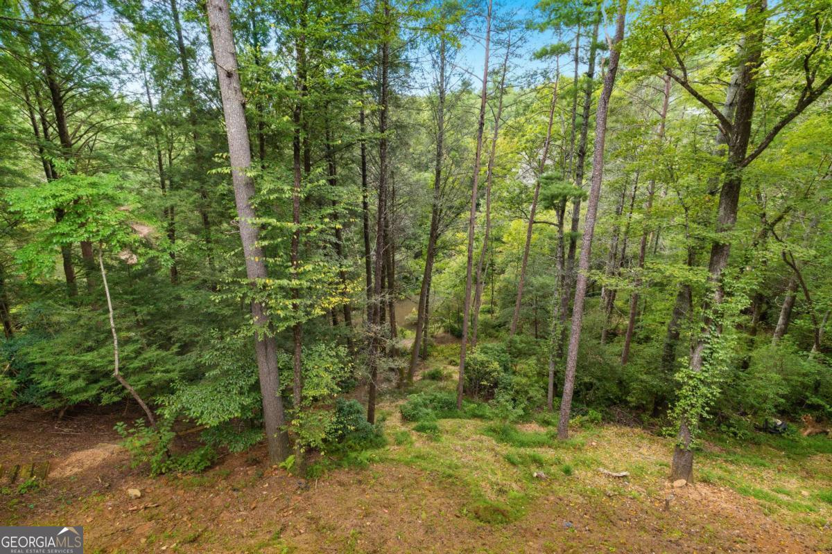 456 Whispering Pine Lane