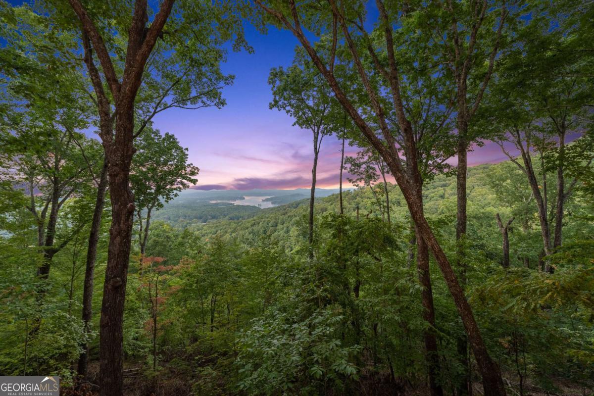 907 Ripshin Mountain Road