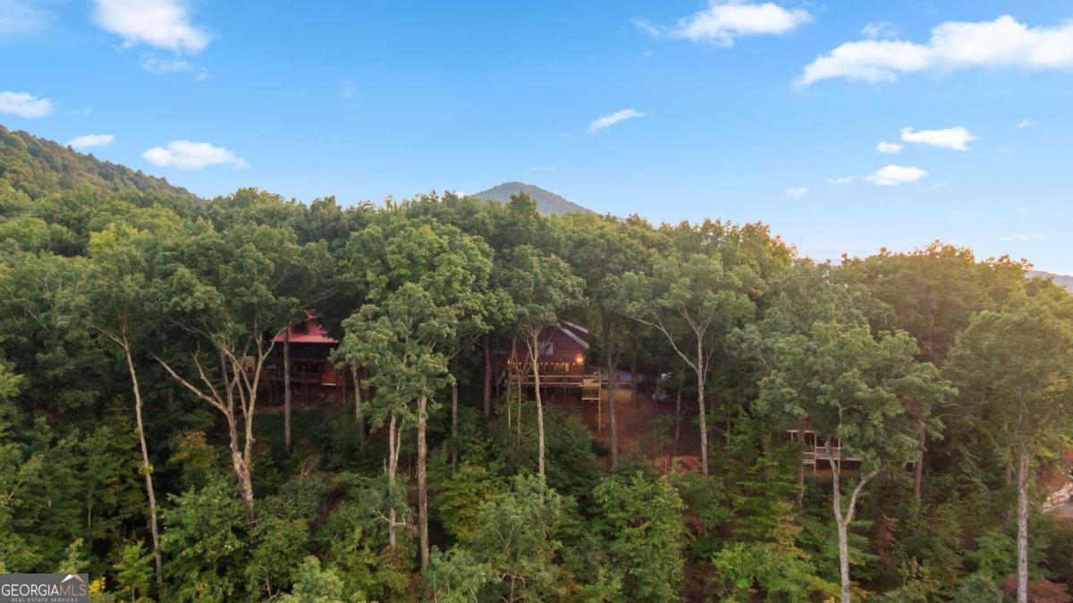 907 Ripshin Mountain Road