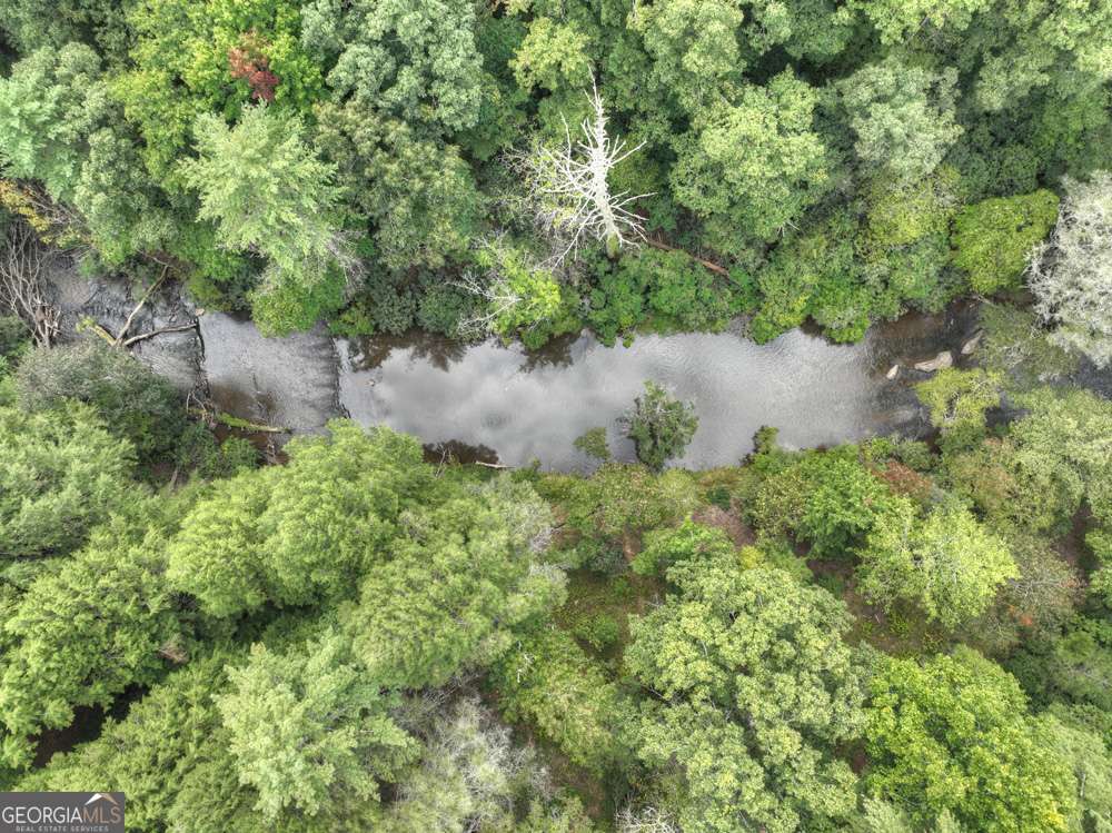 456 Whispering Pine Lane