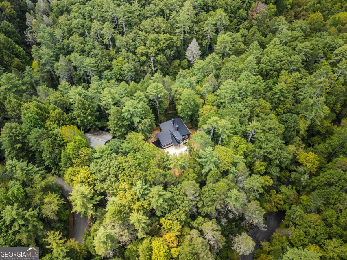 456 Whispering Pine Lane