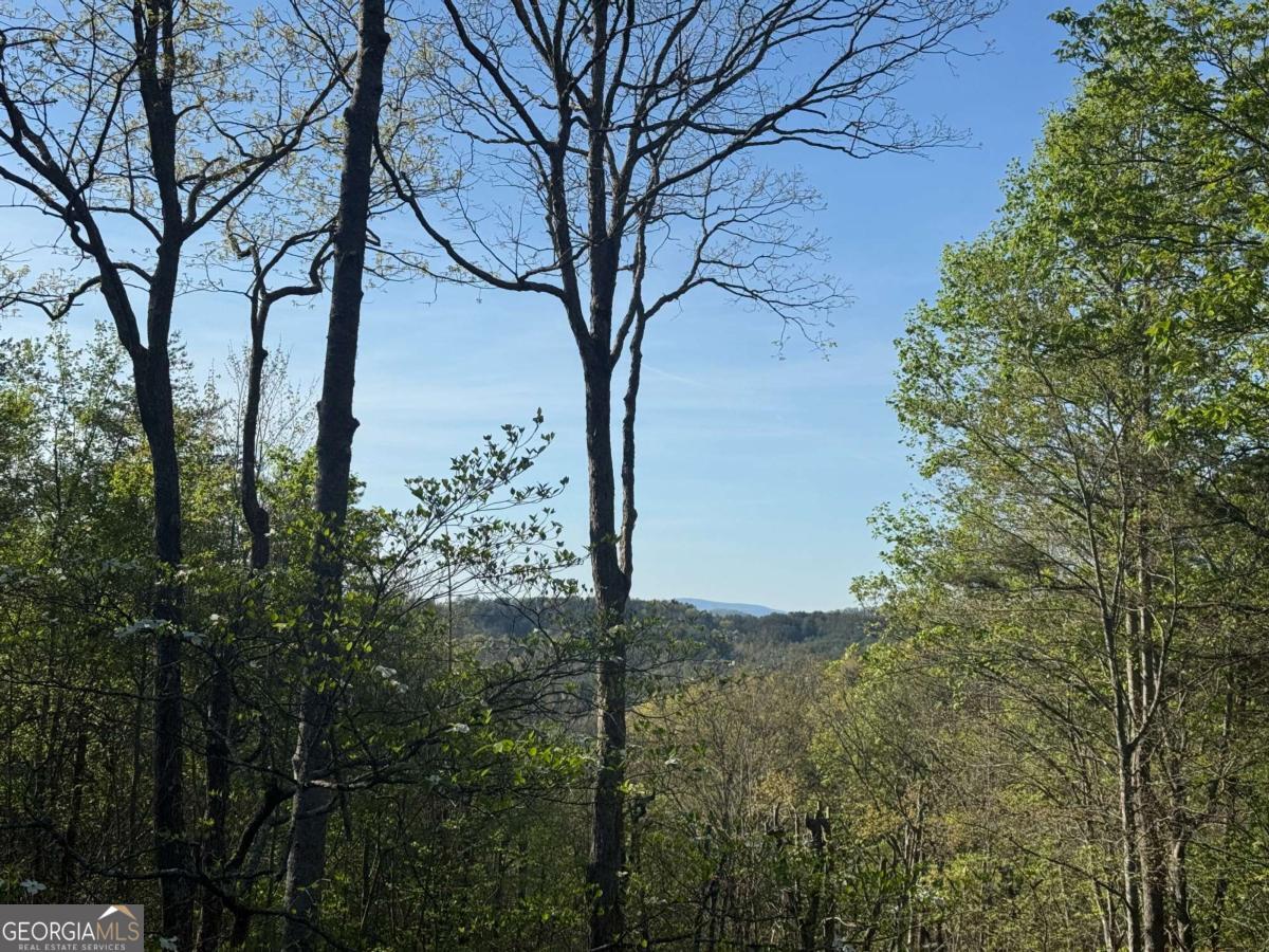 1600 My Mountain Road