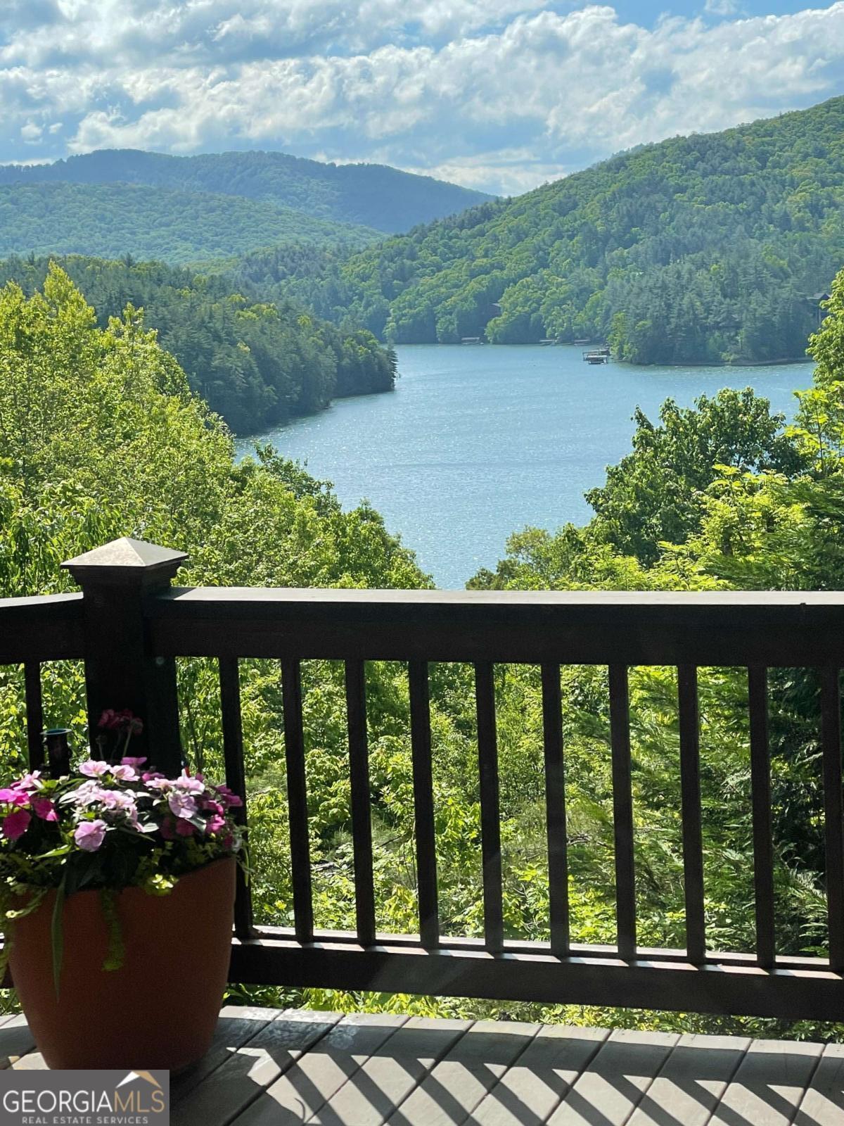 115 Necowa Cove Overlook