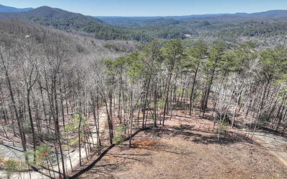 88 Laurel Ridge Way