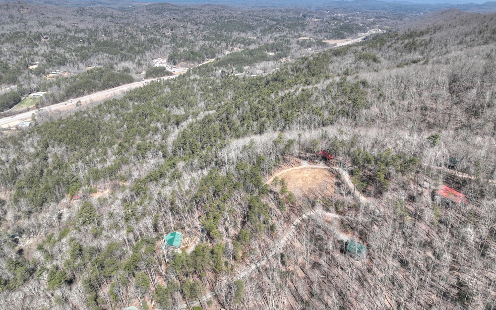 88 Laurel Ridge Way