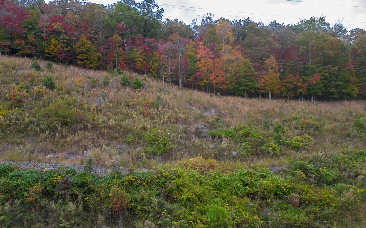 1.44 Valley Lane