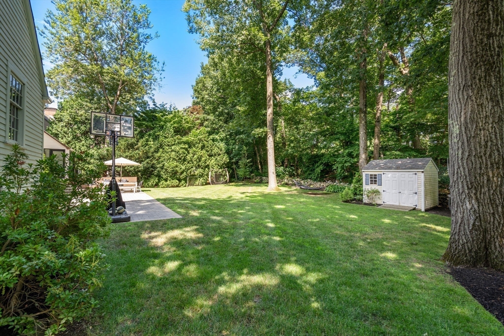 235 Woodland