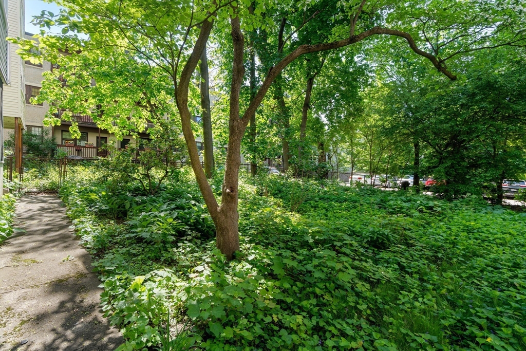 61 Longwood Ave # 1