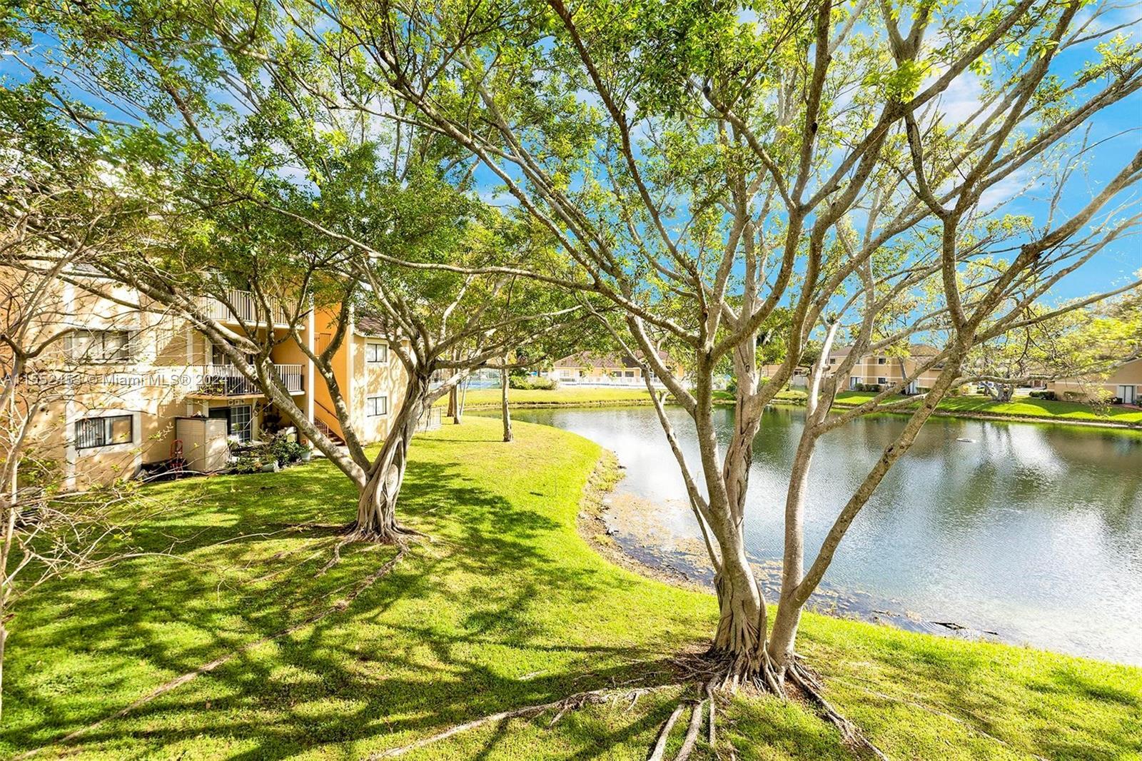 301 Palm Way # 203