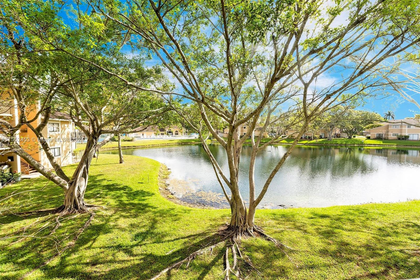 301 Palm Way # 203