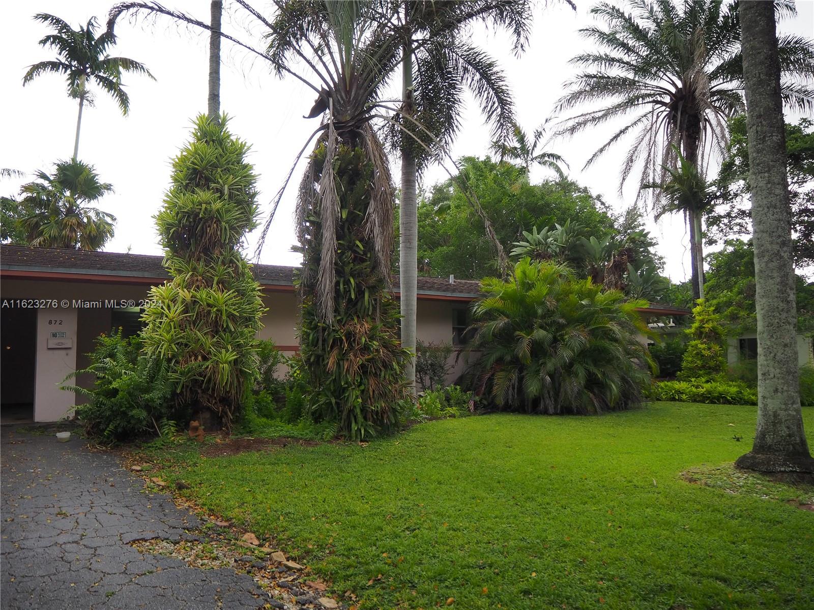 872 Orchid Dr