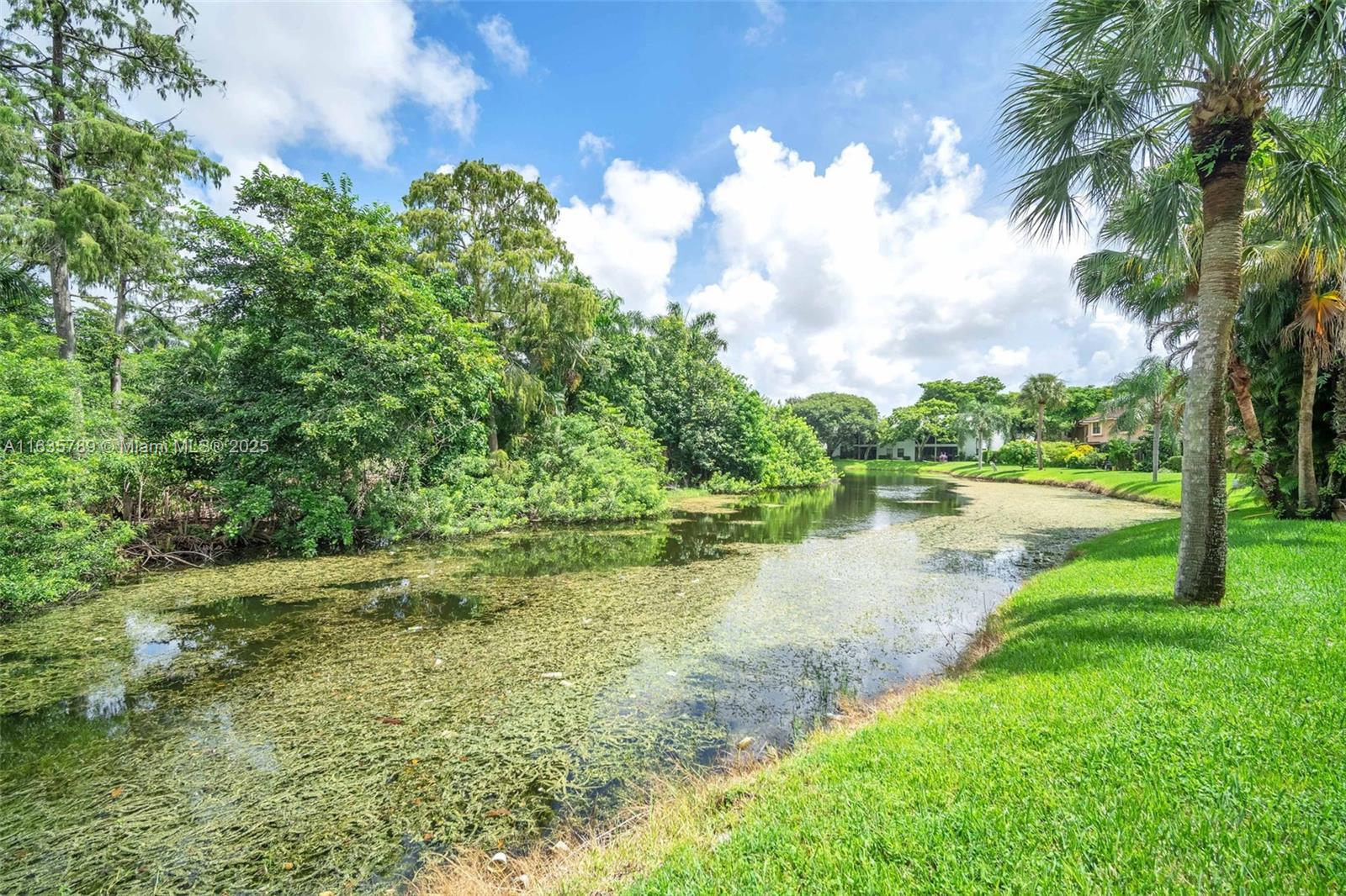 3747 N Carambola Cir N # 2893
