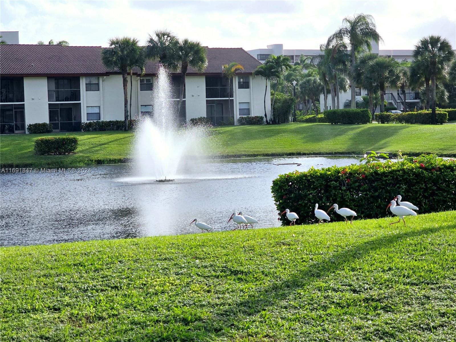 22088 Palms Way # 102
