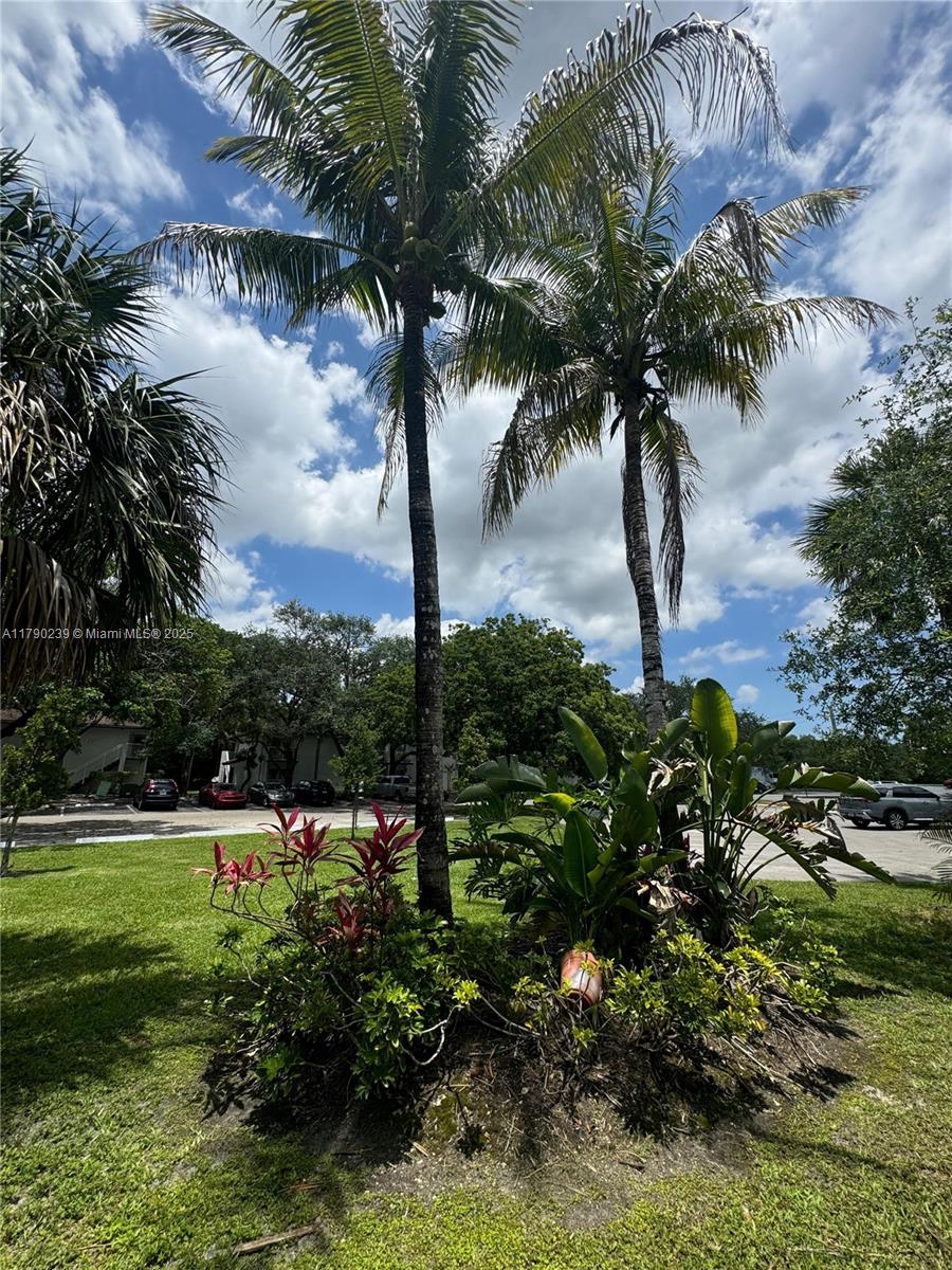 4215 N University Dr # 315