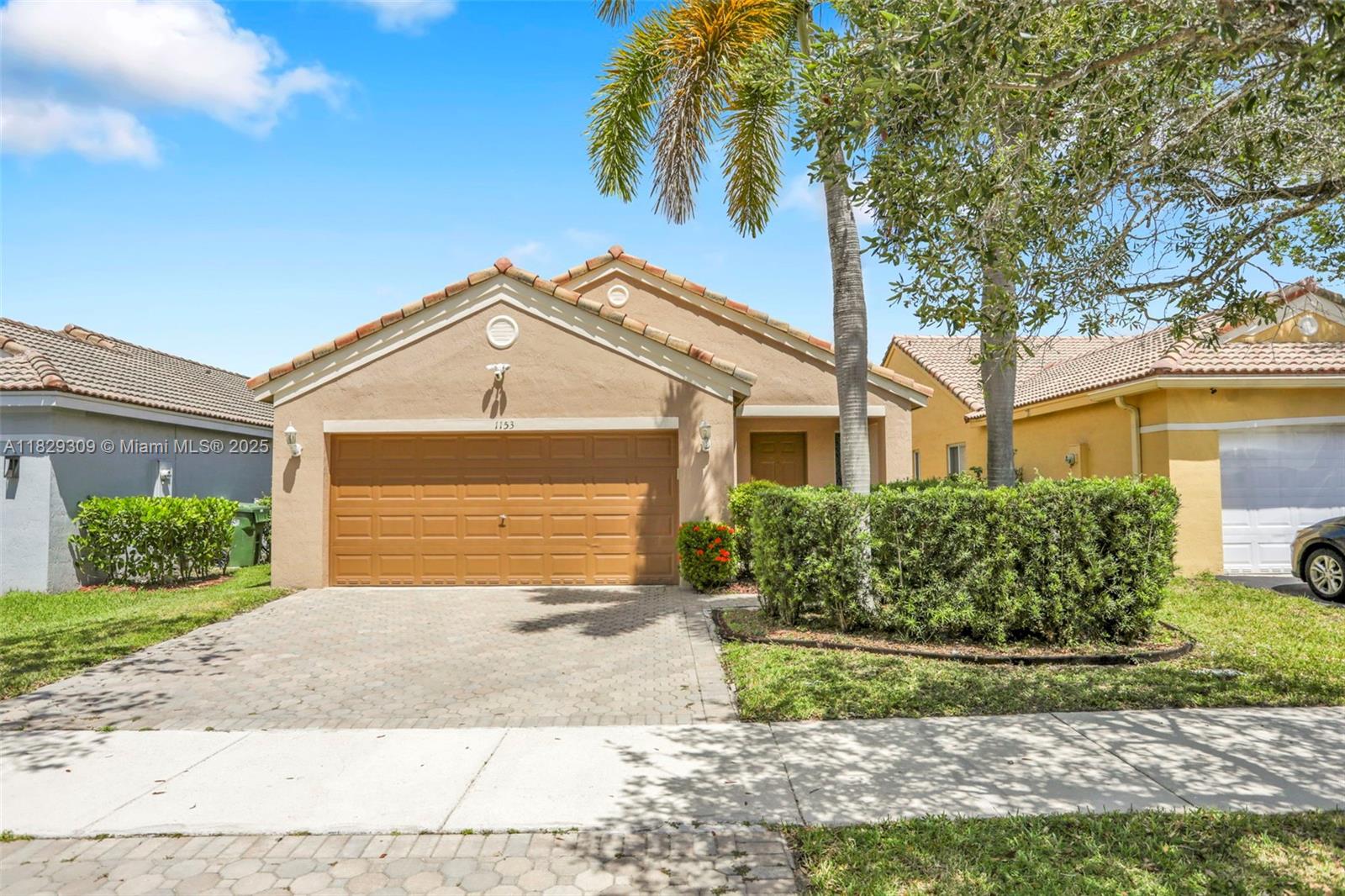 1153 Areca Way