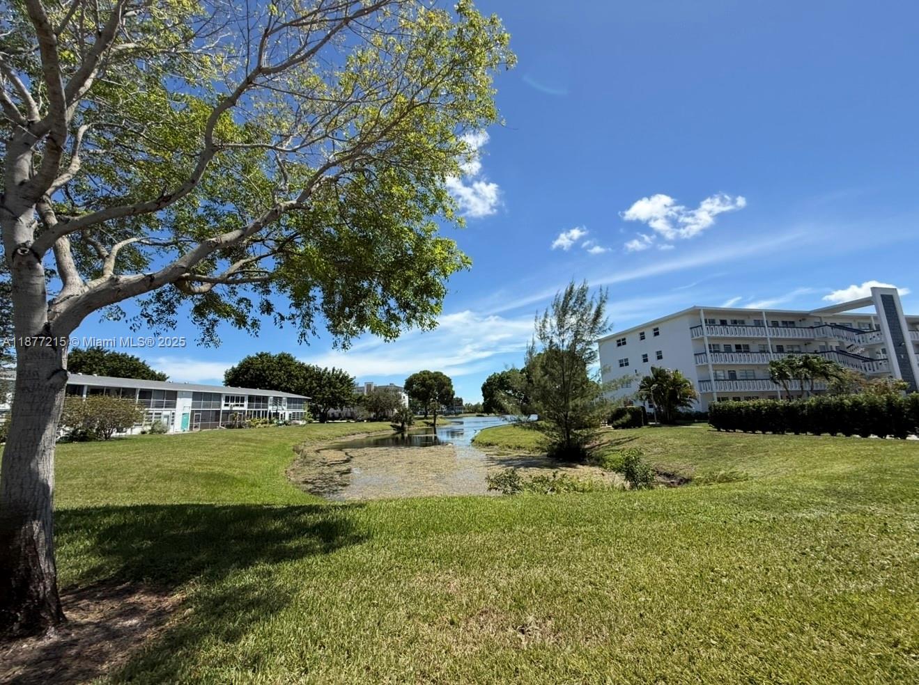 110 Harwood # J