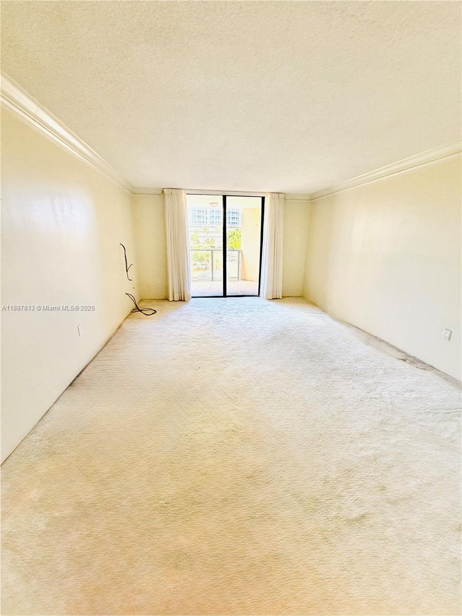 6423 Collins Ave # 310