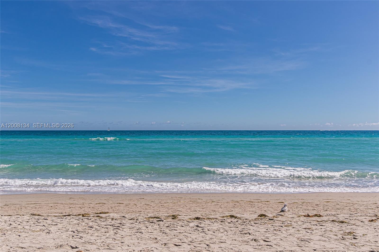 1601 S Ocean Dr # 305