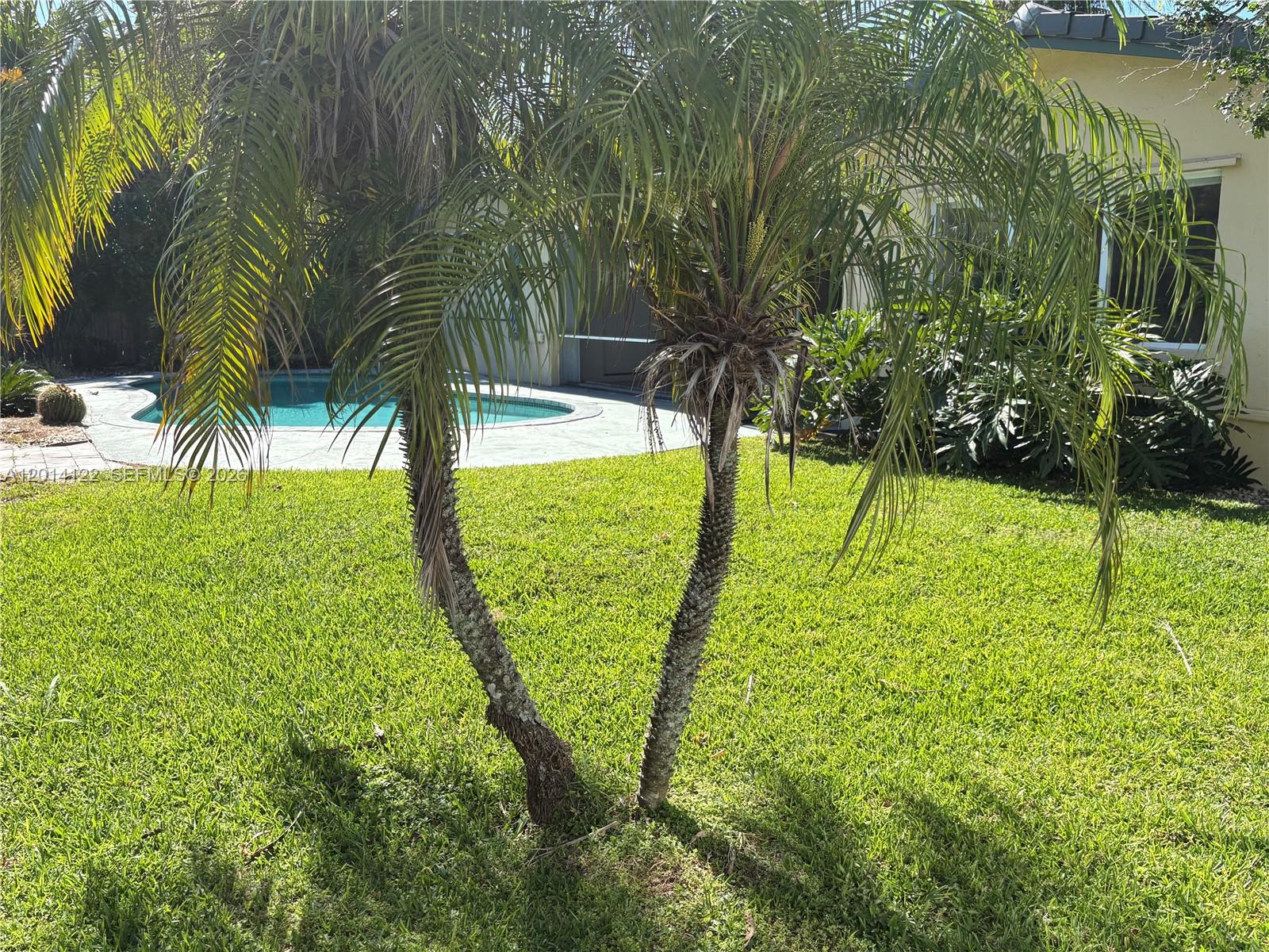 Boca Raton