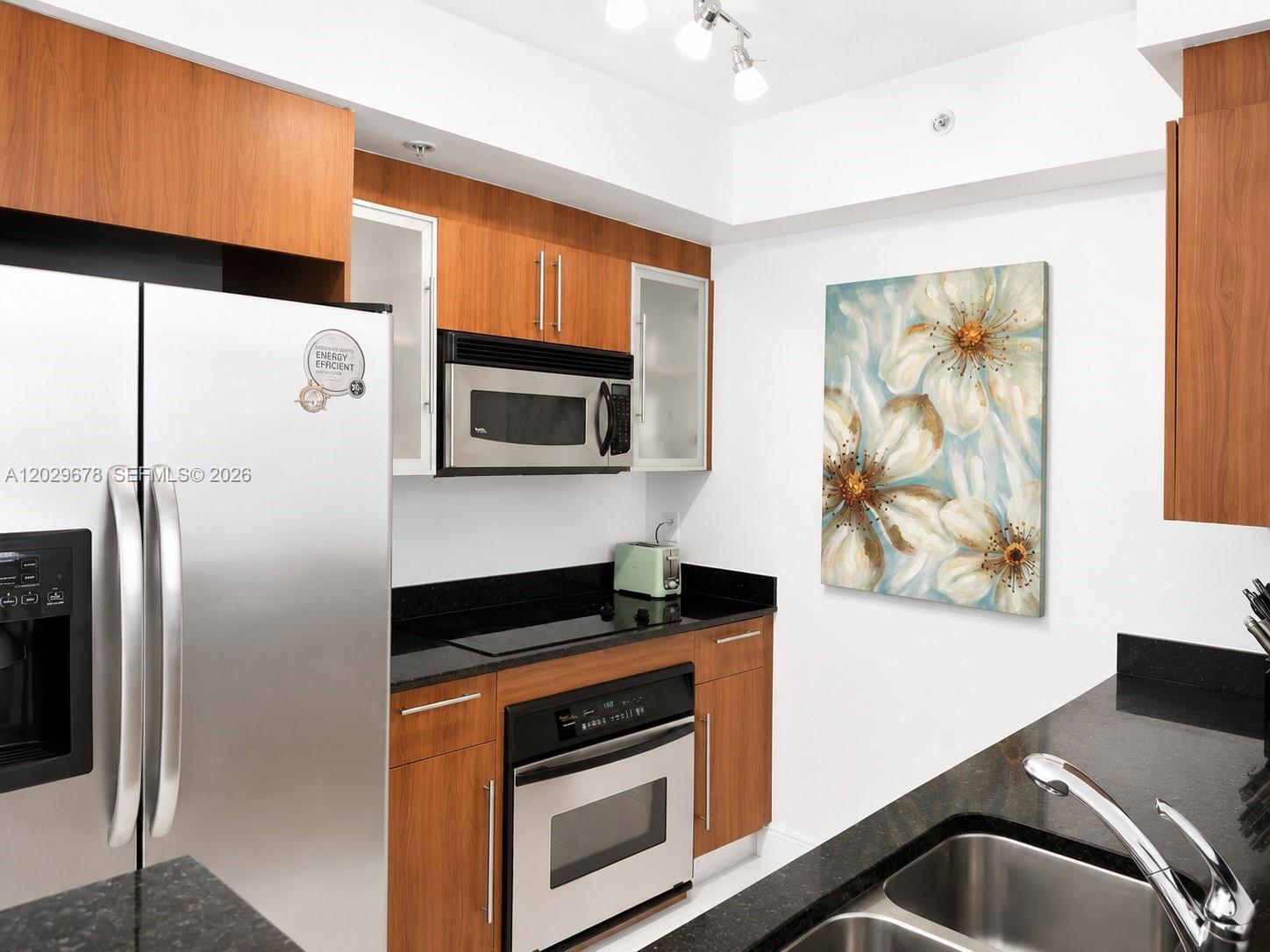 325 S Biscayne Blvd # 717