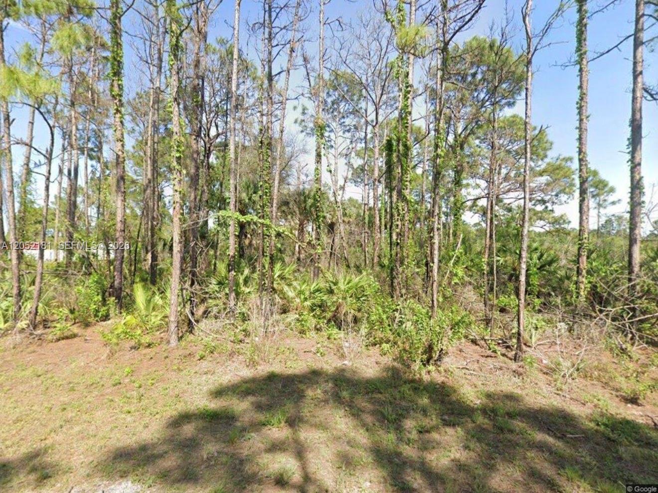 Lehigh Acres