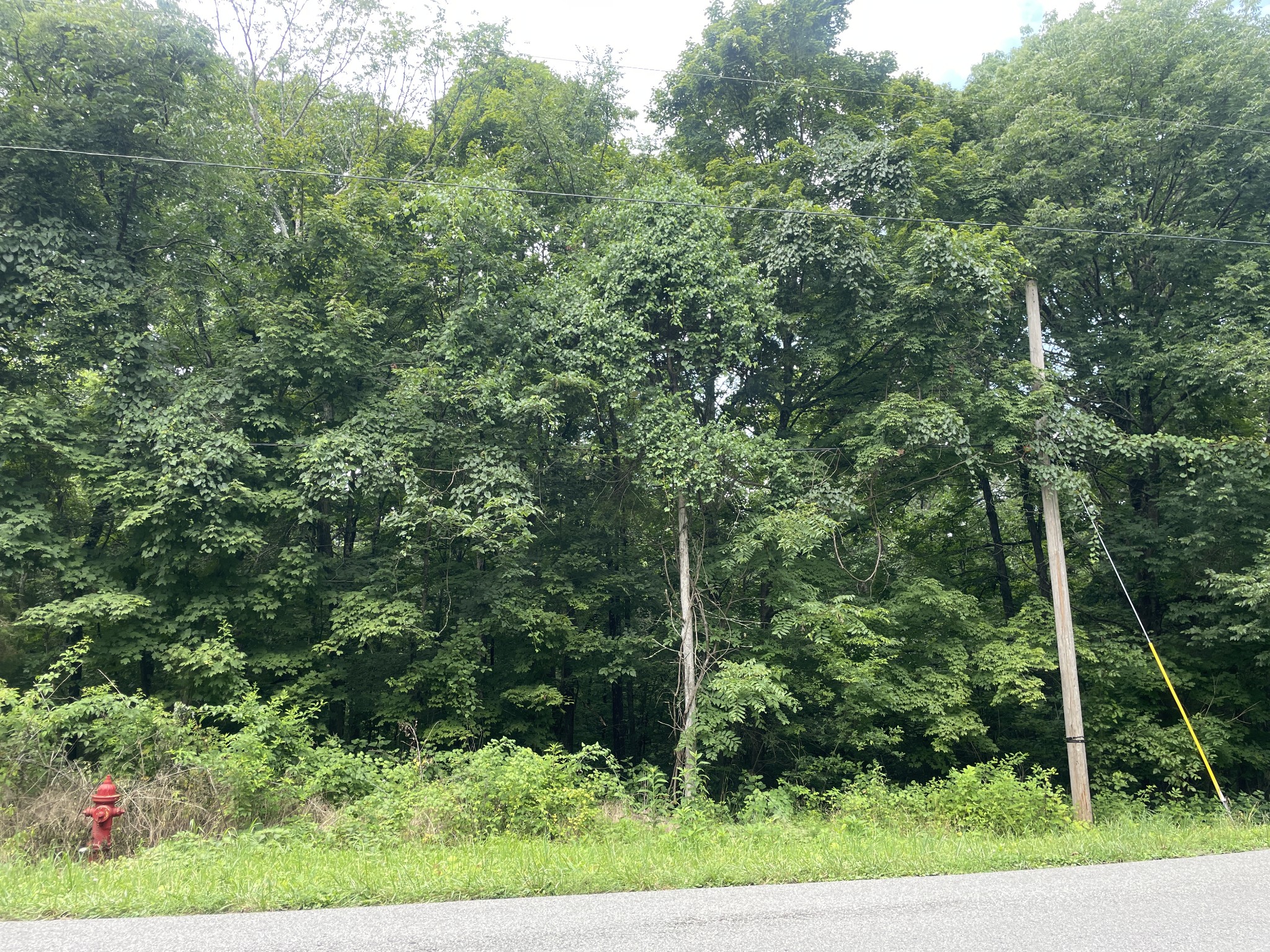 1535 Mount Olivet Rd