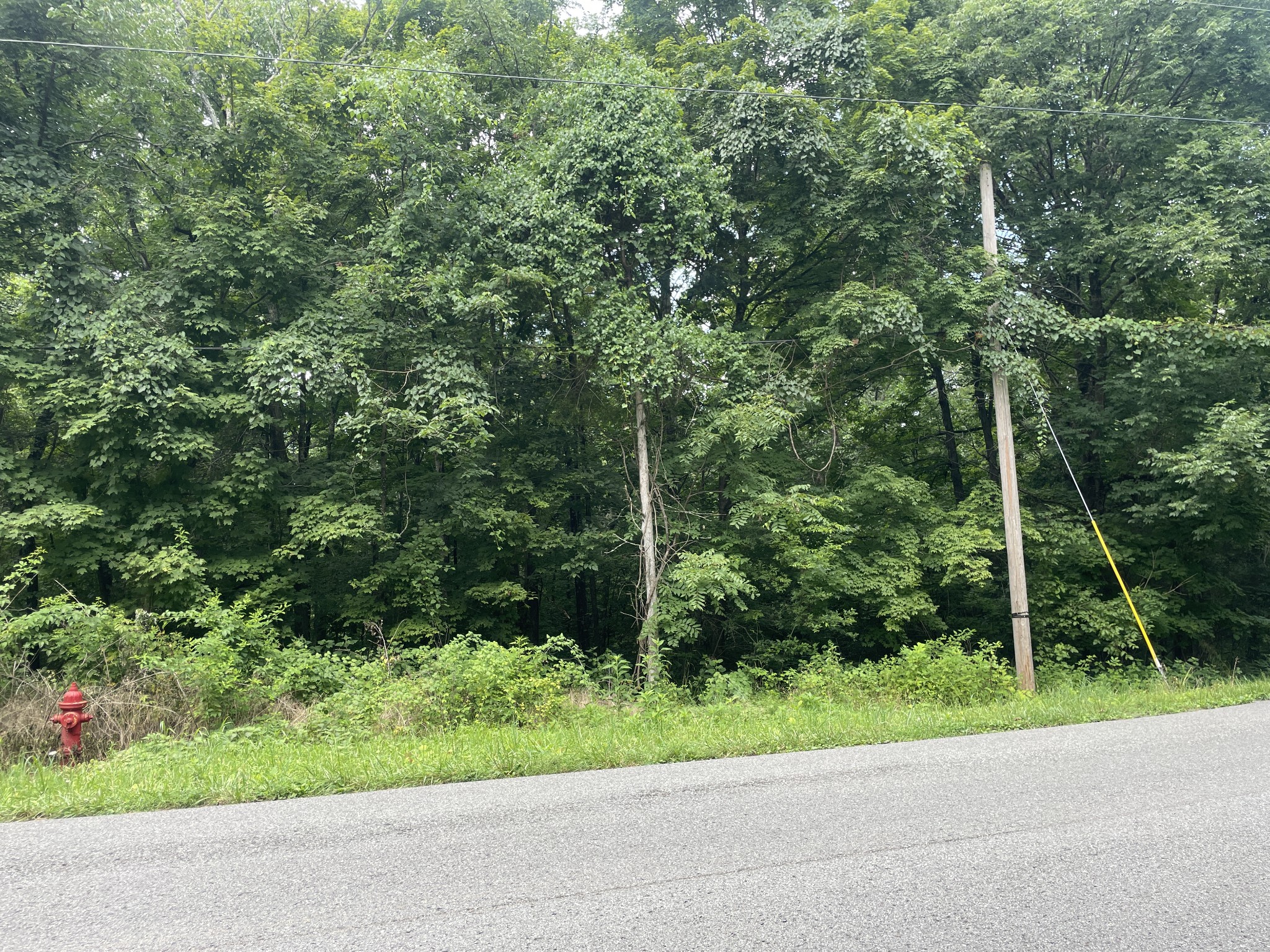 1535 Mount Olivet Rd