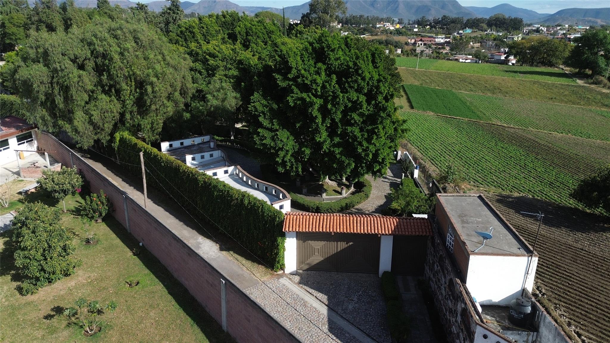 042 Camino Al Capricho 1b, Las Nieves Road