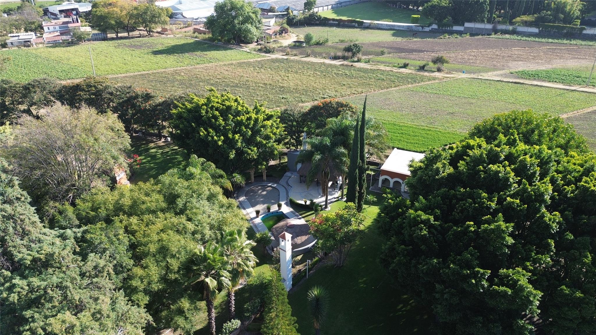 042 Camino Al Capricho 1b, Las Nieves Road