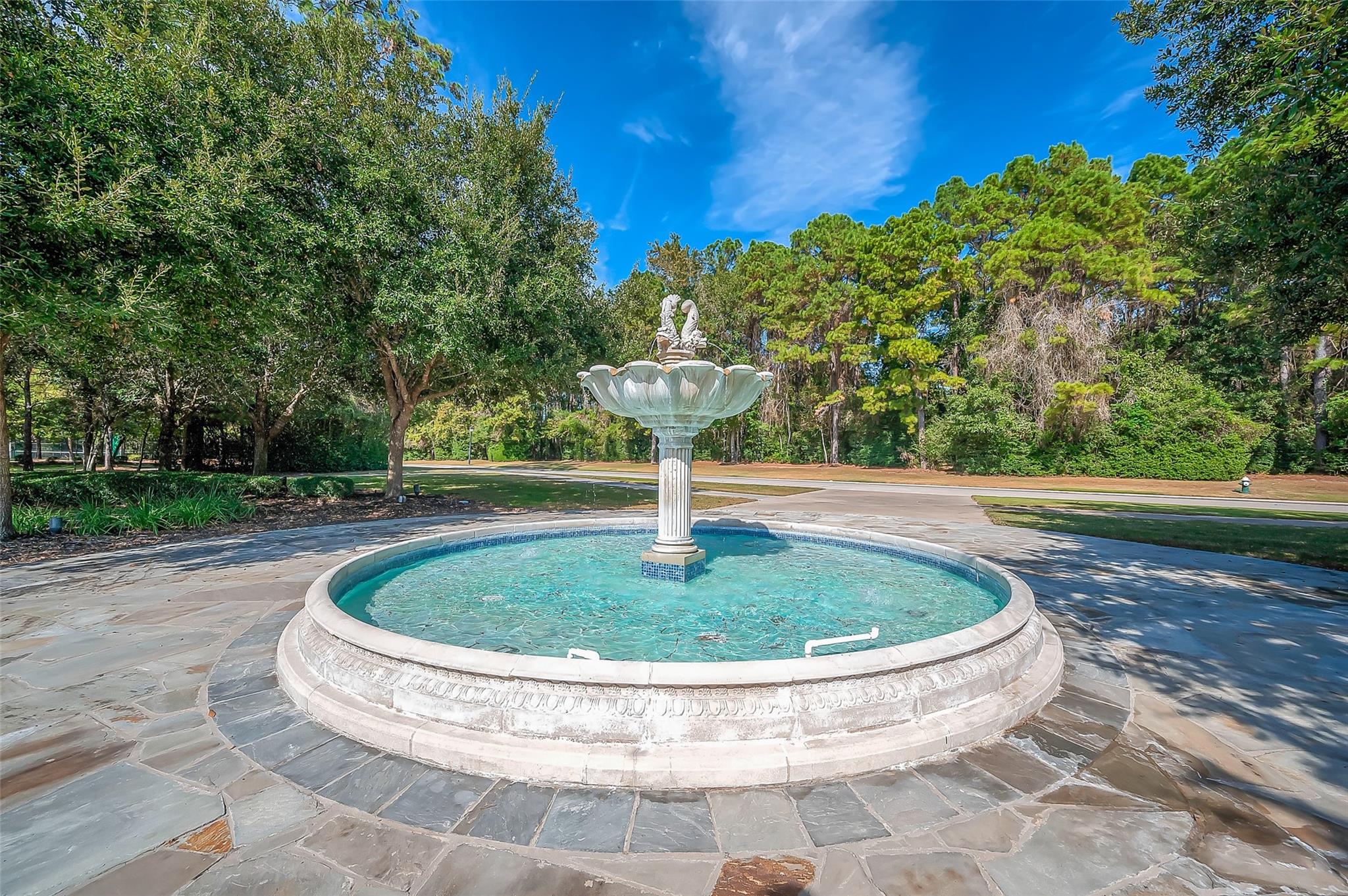 39 Pronghorn Place