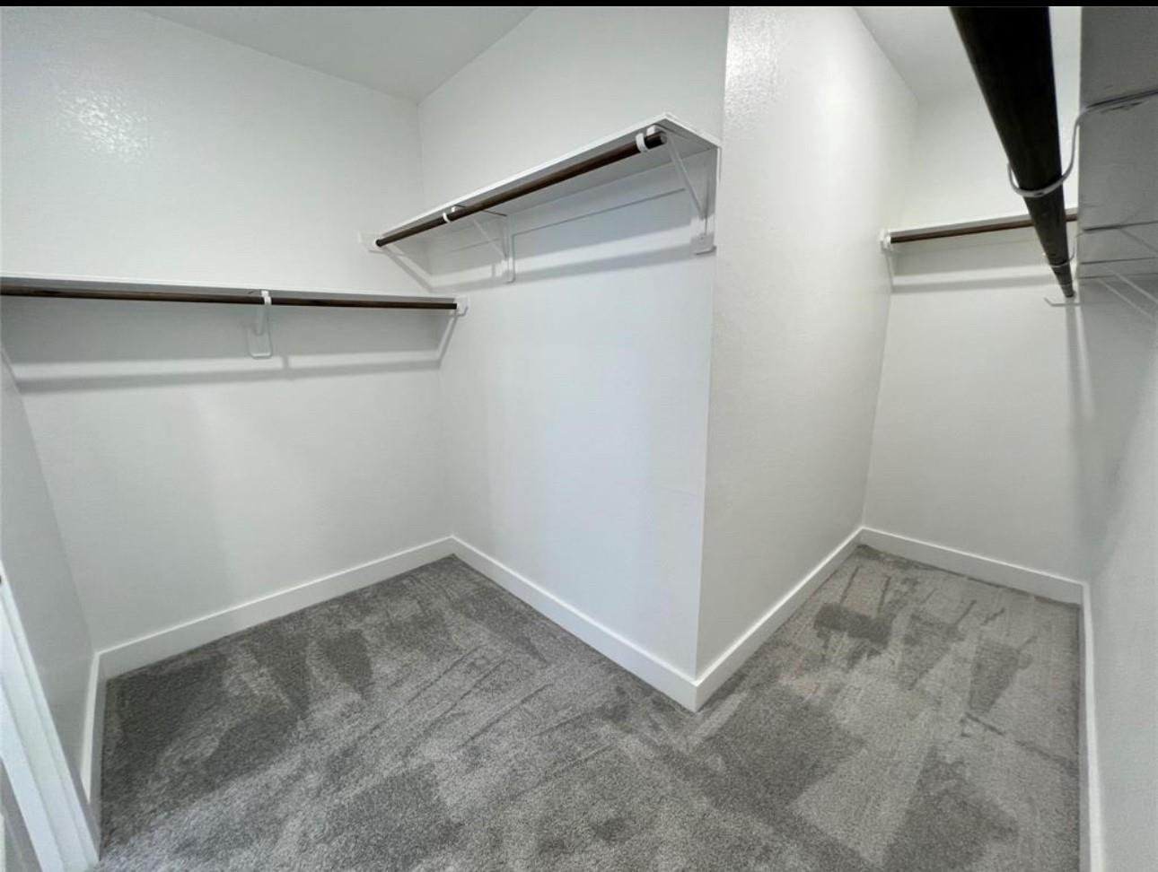 17697 Tree Of Heaven Drive