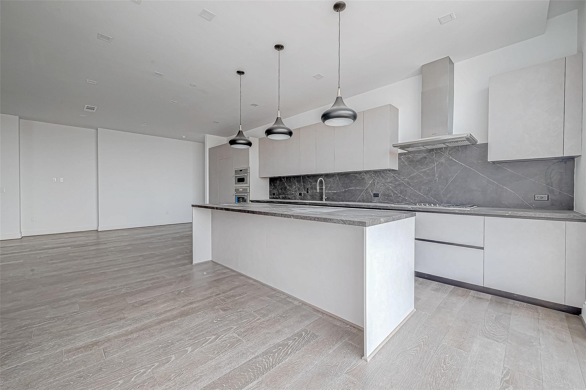 1711 Allen Parkway # 1703