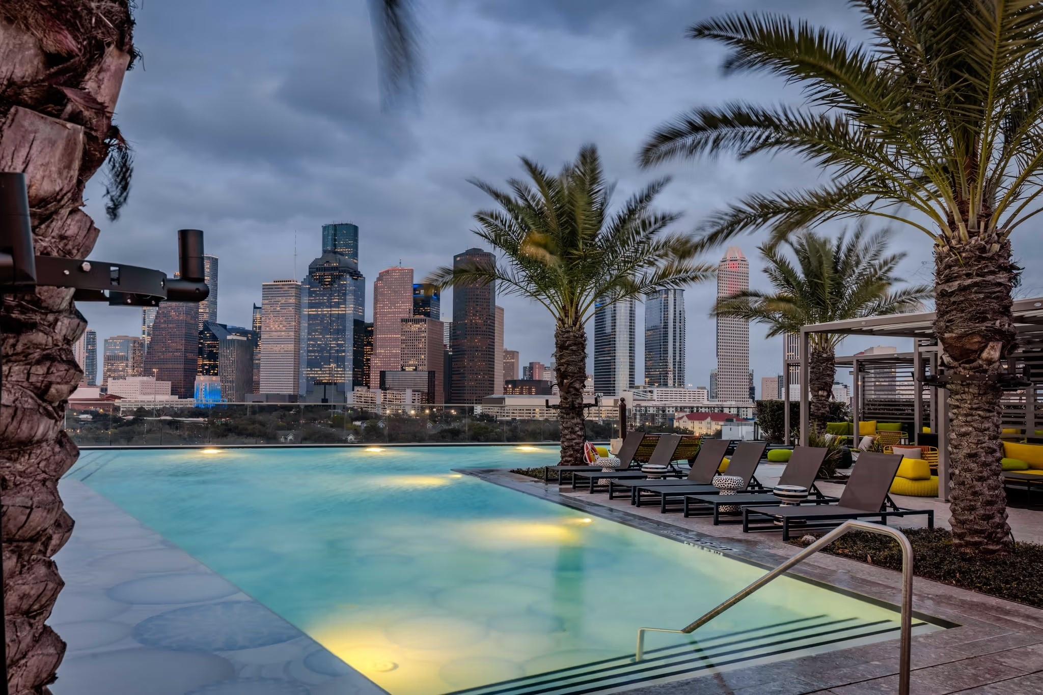 1711 Allen Parkway # 1703