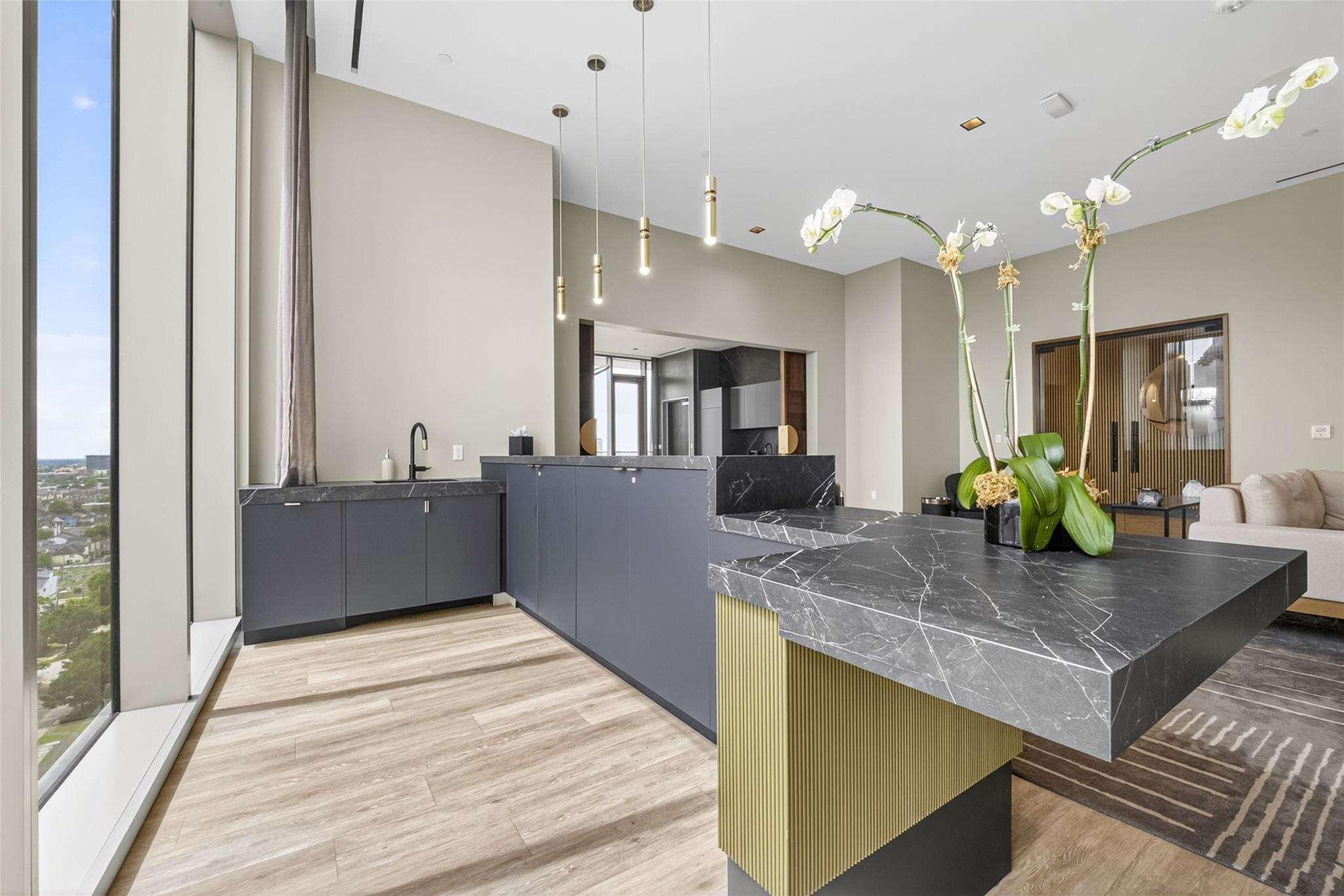 1711 Allen Parkway # 1703
