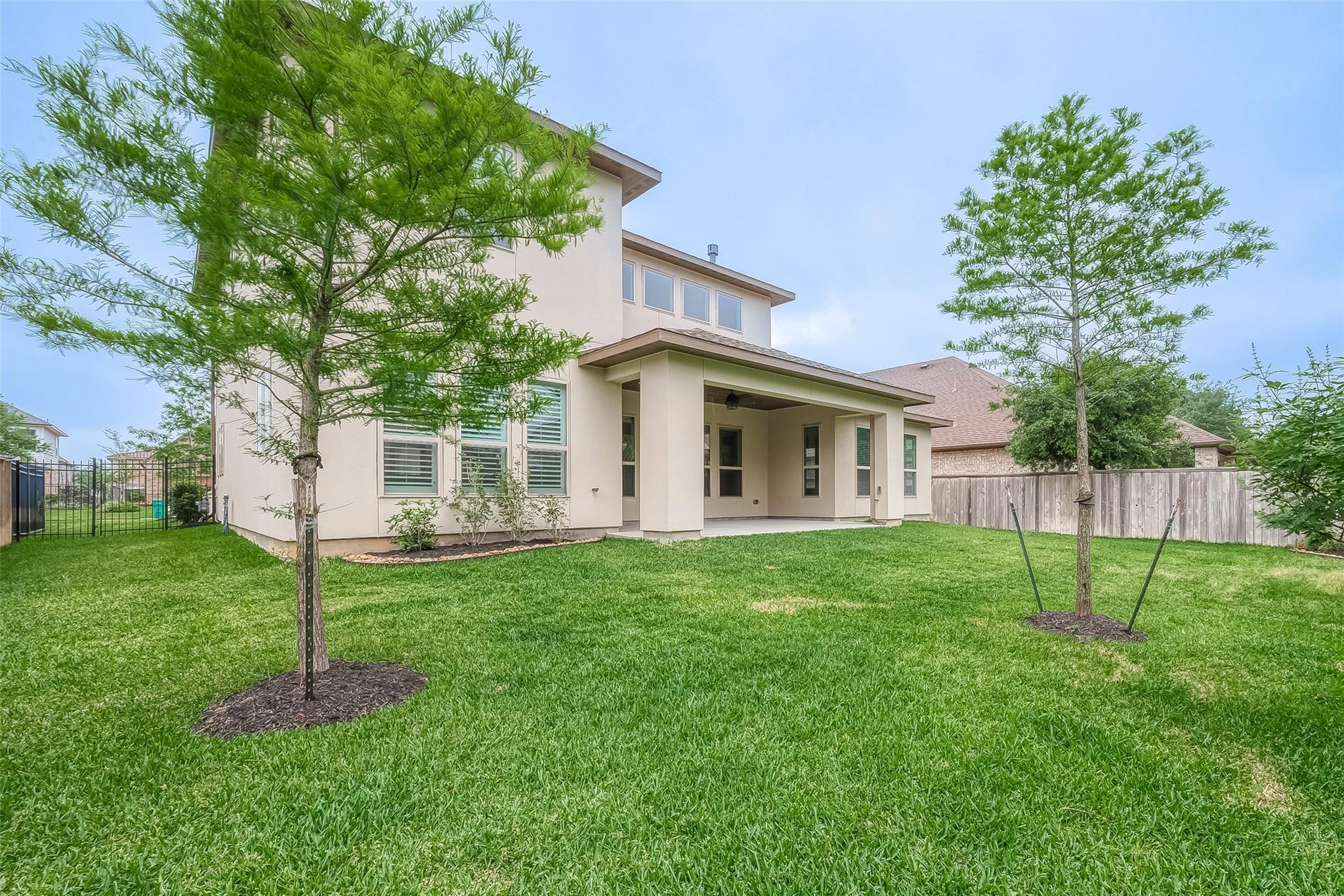 58 Canopy Green