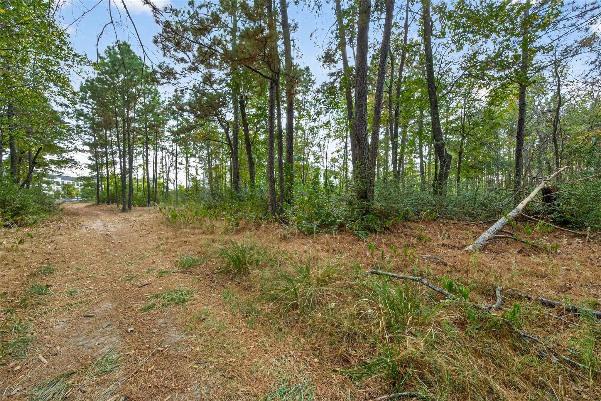 314 Scenic Lake Court, Montgomery