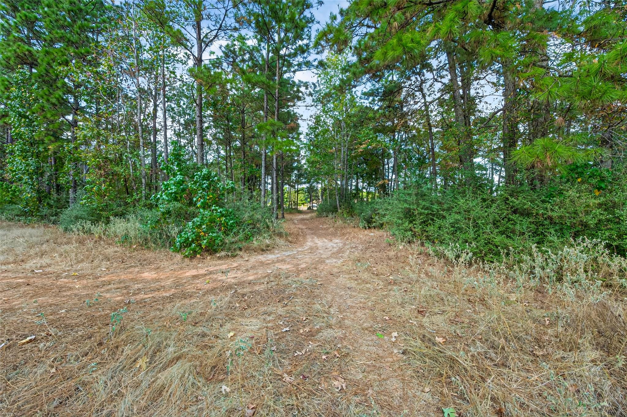 314 Scenic Lake Court, Montgomery