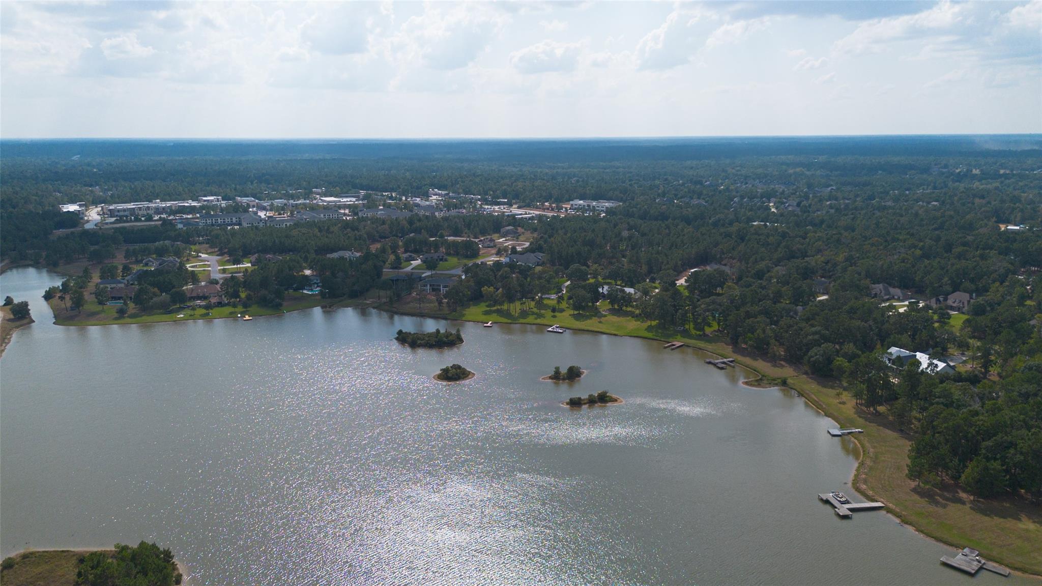 314 Scenic Lake Court, Montgomery