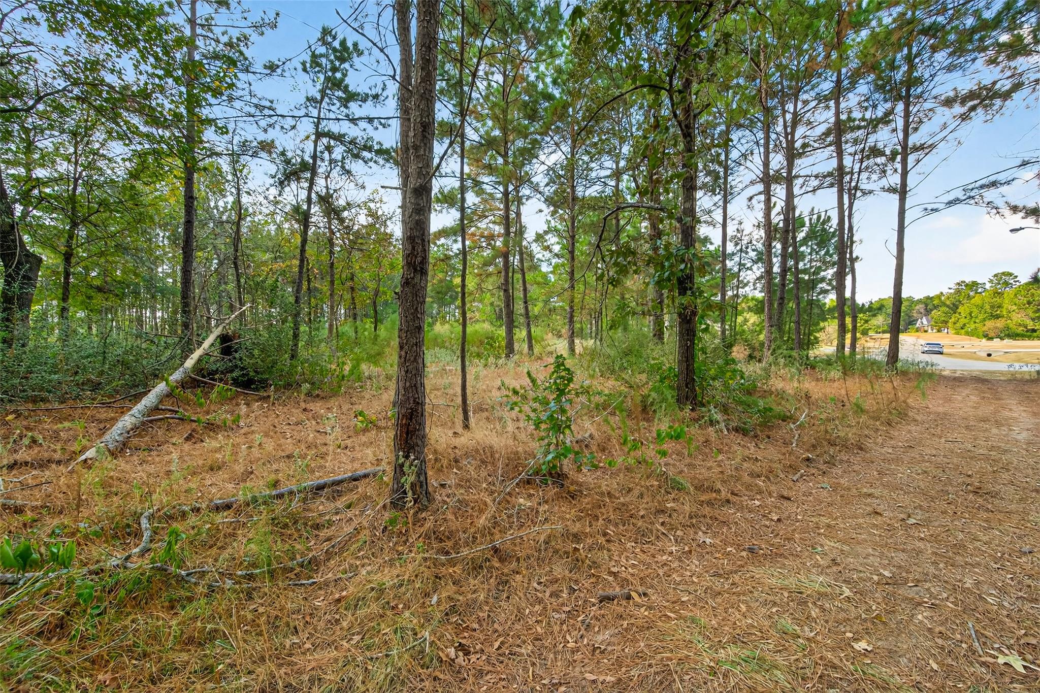 314 Scenic Lake Court, Montgomery