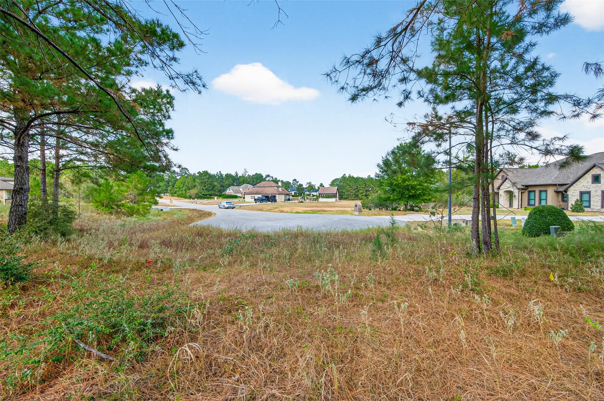 314 Scenic Lake Court, Montgomery