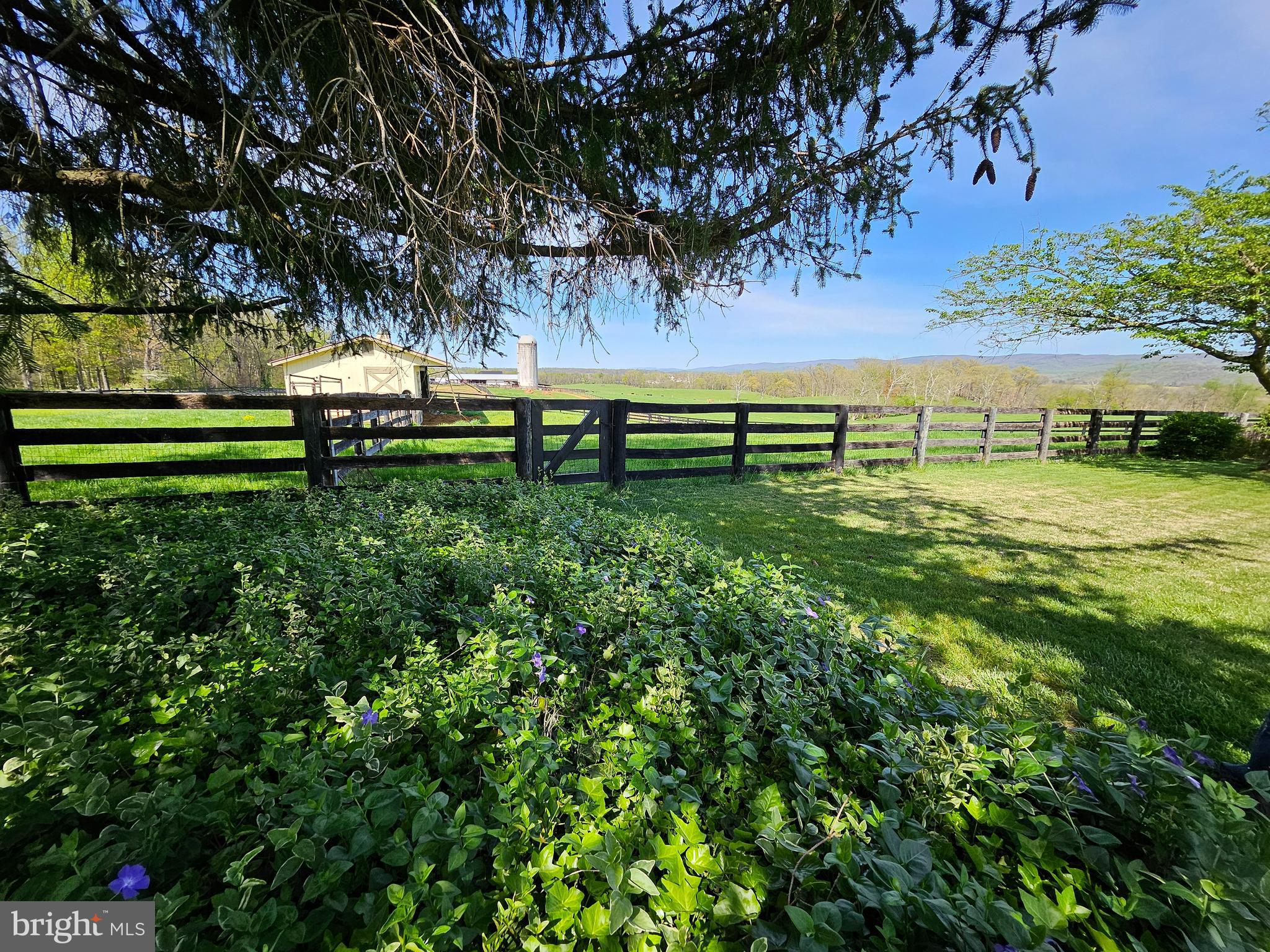 1019 Chilly Hollow Rd