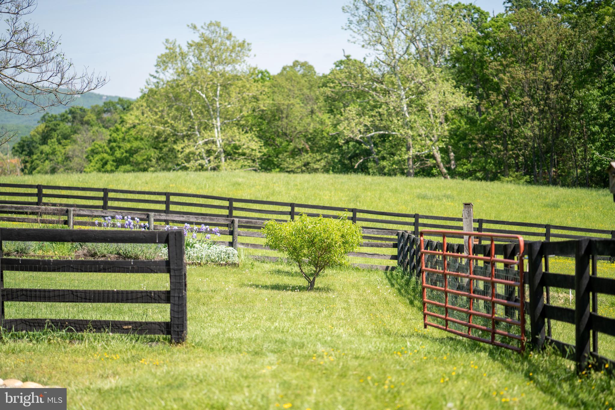 1019 Chilly Hollow Rd