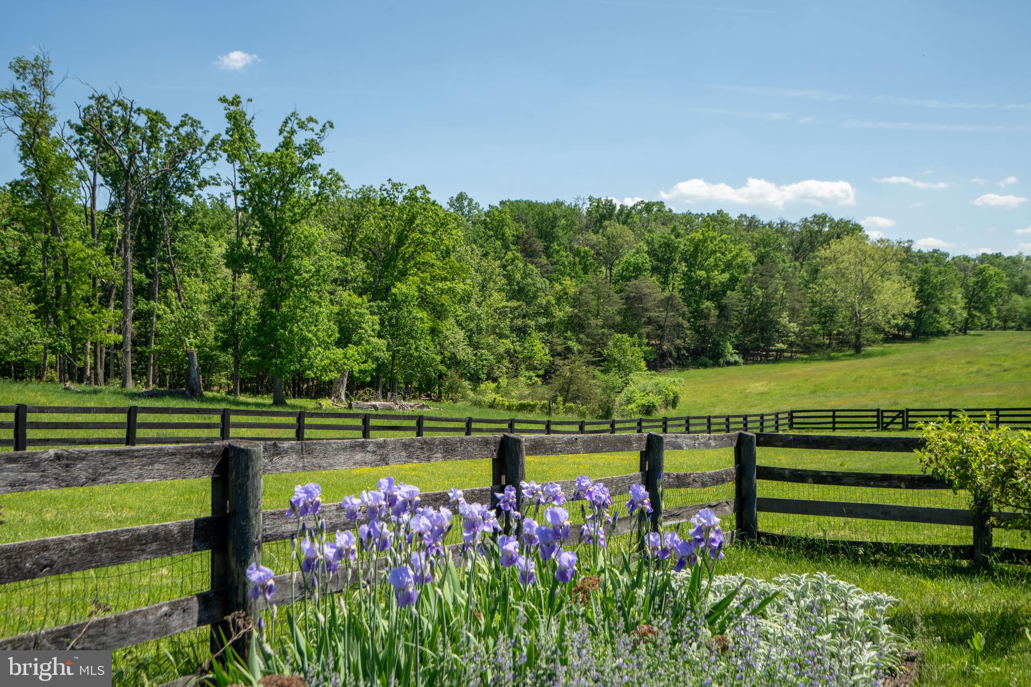 1019 Chilly Hollow Rd