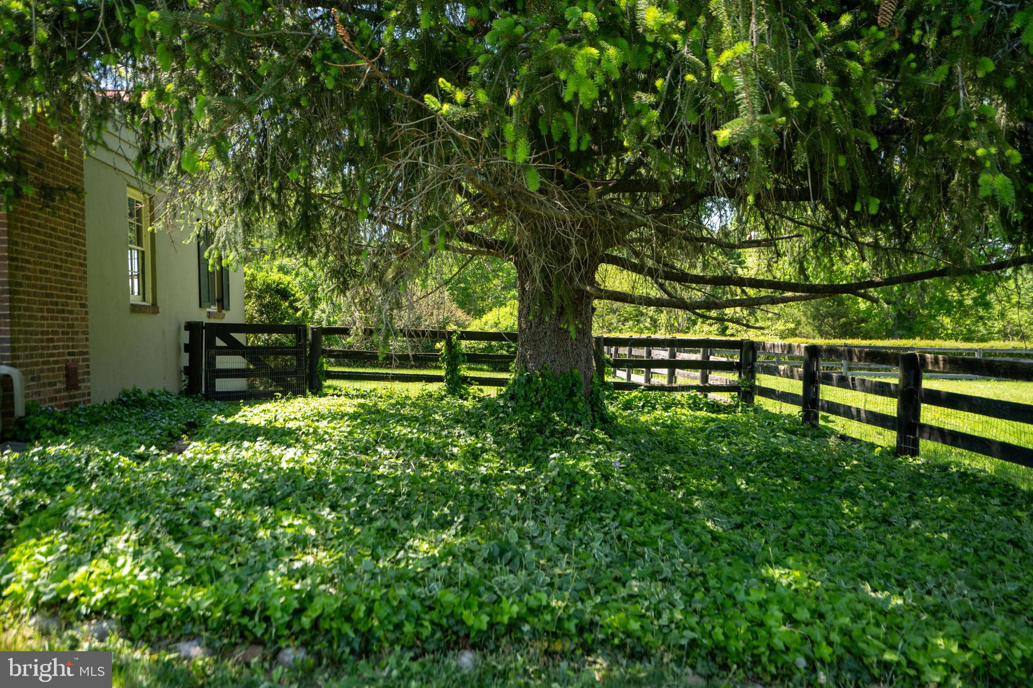 1019 Chilly Hollow Rd