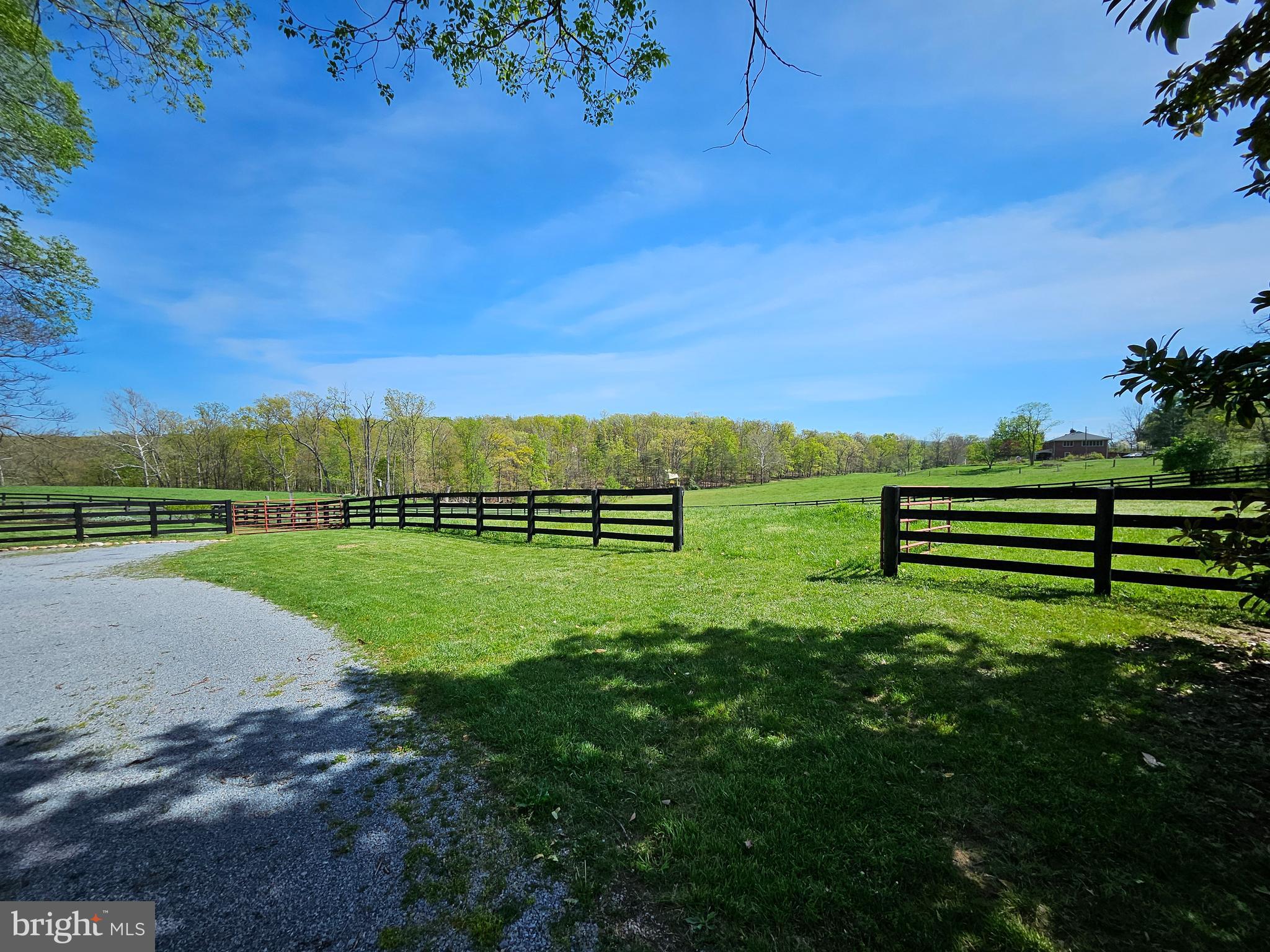 1019 Chilly Hollow Rd
