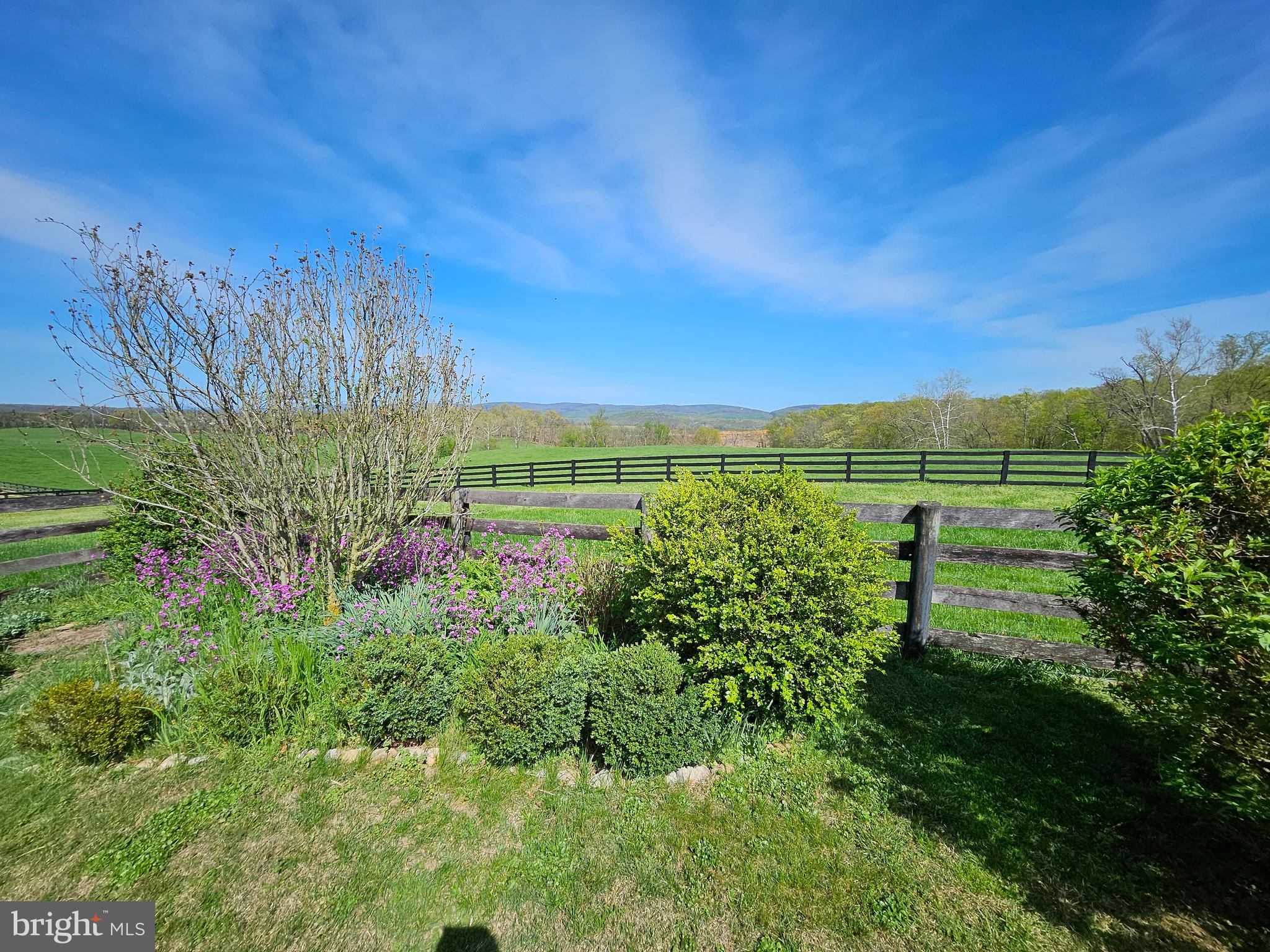 1019 Chilly Hollow Rd